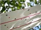 Lep na muchy w rolce Eco, 25 cm x 10 m, Kerbl