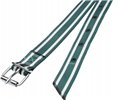 Obroża 130x4cm z ogniwem D Standard, biało - zielona