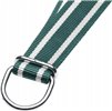 Obroża 130x4cm z ogniwem D Standard, biało - zielona
