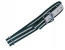 Obroża dla cieląt Classic 85 x 4 cm biało-zielona