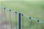 Siatka elektryczna dla drobiu Premium, 50 m, 122 cm, 2x szpic, zielony, Kerbl