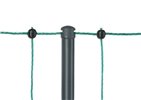 Siatka nieelektryczna dla drobiu Premium, 50 m, 122 cm, 2 x szpic, zielony, Kerbl