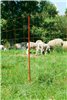 Siatka elektryczna dla drobiu, 50 m, 106 cm, 1 x  szpic, pomarańczowy, Kerbl
