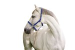 Kantar dla konia Mustang, niebieski/czarny, rozm. Pony, Covalliero