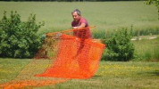 Siatka elektryczna dla drobiu, 50 m, 106 cm, podw. szpic, pomarańczowy, Kerbl