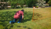 Siatka elektryczna dla drobiu, 50 m, 106 cm, podw. szpic, pomarańczowy, Kerbl