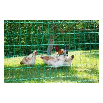 Siatka nieelektryczna dla drobiu, 50 m, 106 cm, podw. szpic, zielony, Kerbl