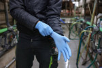 Rękawice nitrylowe Nitrile PremiumPlus, niebieski, 50 szt., Kerbl