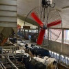 Wentylator mieszacz powietrza wiatrak do obory Multifan,