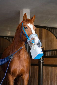 Inhalator dla konia AirOne Flex, bezprzewodowy, z maską dla koni gorącokrwistych, Hippomed