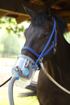 Inhalator dla konia AirOne, sieciowy, z maską dla koni gorącokrwistych, Hippomed
