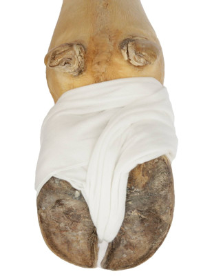Kompresy opatrunkowe, 10 cm x 5 m, Kerbl