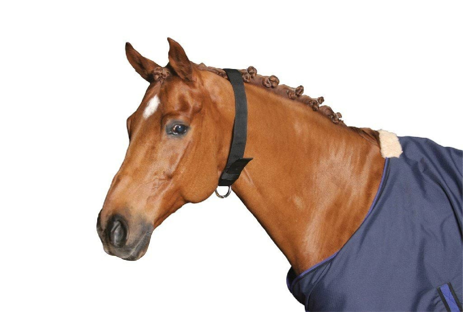 Obroża dla konia, nylonowa, czarny, roz. Full, Covalliero