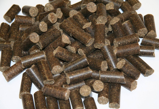 Smakołyki dla konia Delizia Classic, lukrecja, 1 kg, Kerbl