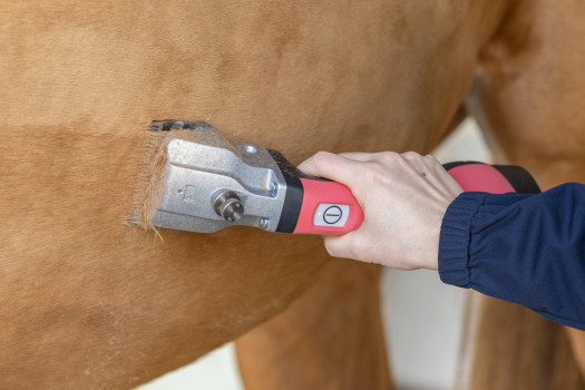 Maszynka do strzyżenia koni Bonum, 2 akumulatory, różowy, Aesculap