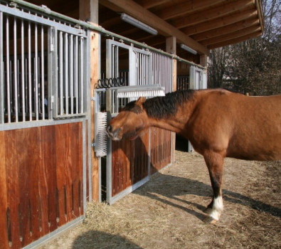 Czochradło dla bydła Texas, szczotki z grzbietem drewnianym, 50 x 10 cm, Kerbl