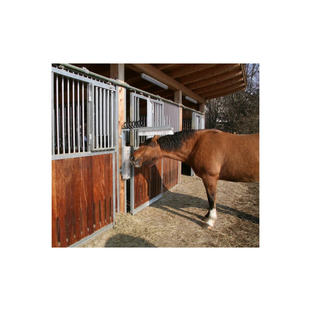 Czochradło dla bydła Texas, szczotki z grzbietem drewnianym, 50 x 10 cm, Kerbl