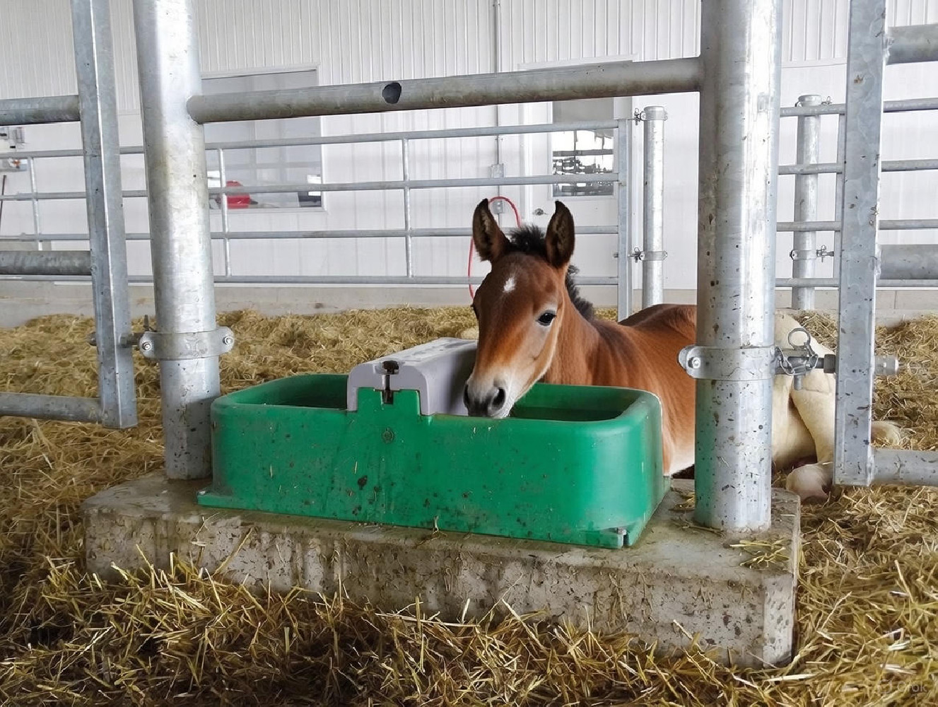 Poidło dwukomorowe CLEANO-BAC, La Buvette
