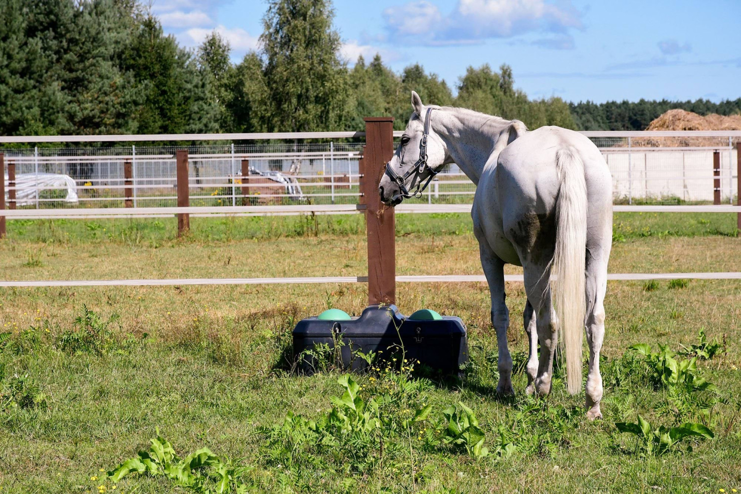 Poidło niezamarzające, dwukomorowe, Kerbl
