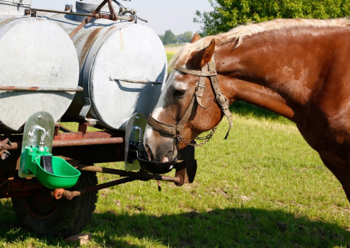 Poidło dla bydła i koni z zaworem niskociśnieniowym, tworzywo sztuczne KN50, zielone, Kerbl