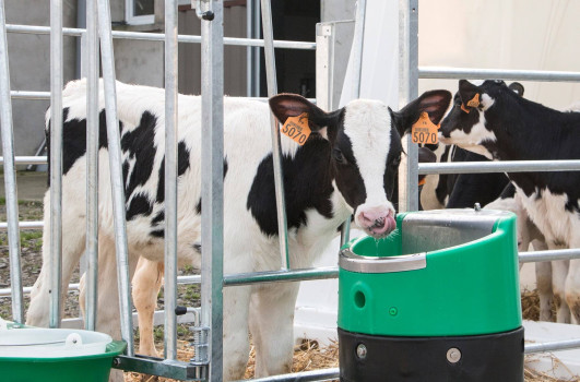 Poidło podgrzewane LAKCHO, 24V/80W, La Buvette