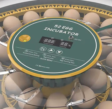 Inkubator do jaj automatyczny z wyświetlaczem wilgotności OVOstart 52