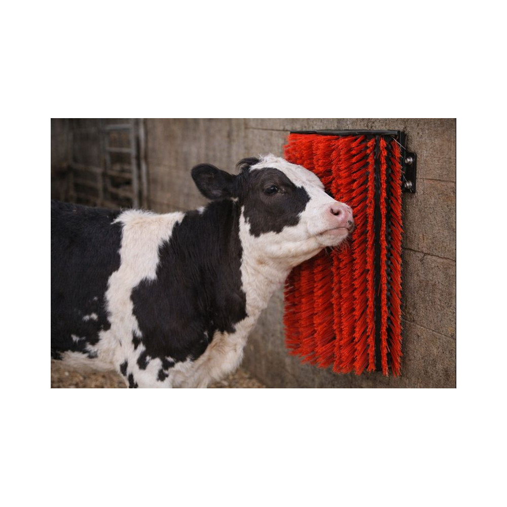 Czochradło, Elastyczna szczotka do drapania dla bydła, 30cm x 43 cm