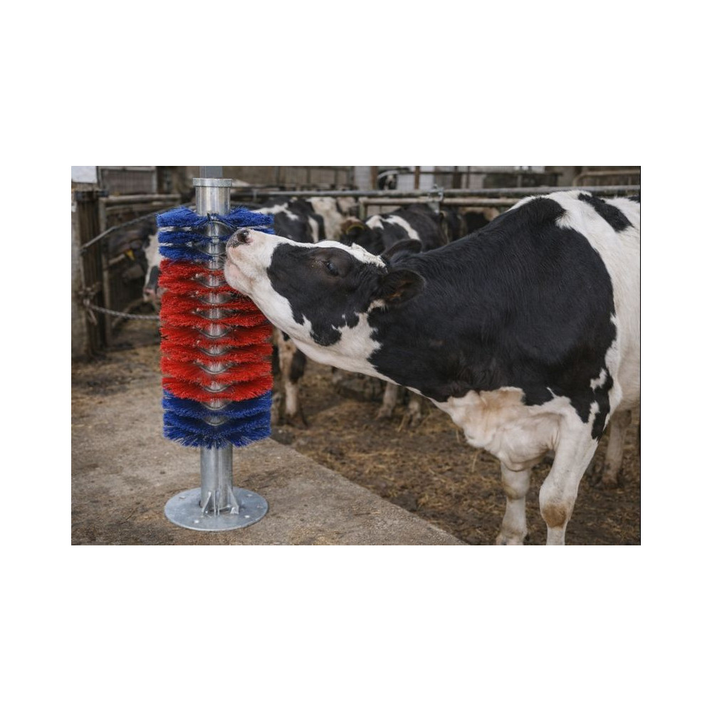 Czochradło dla bydła i koni, MAXI, montaż podłogowy, Kerbl - 163 cm