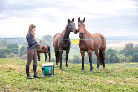 Elektryzator AKO 7,5J Duo Power X6000 Smart – uniwersalny