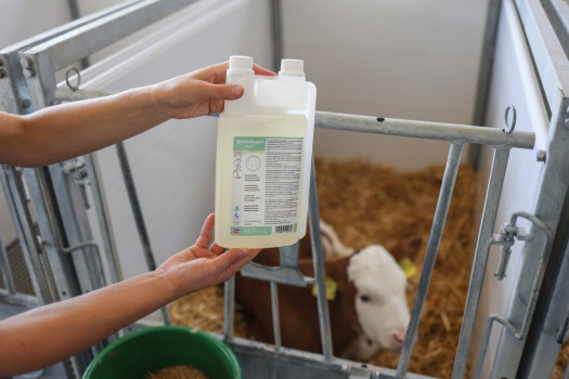 Preparat oddechowy dla cieląt Bronchogol 1000 ml Agroch.