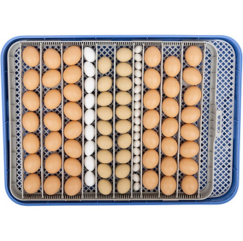 Inkubator do jaj automatyczny z pompą wilgotności, regulowaną tacą OVOstart 70