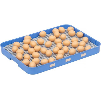 Inkubator do jaj automatyczny z pompą wilgotności, regulowaną tacą OVOstart 70