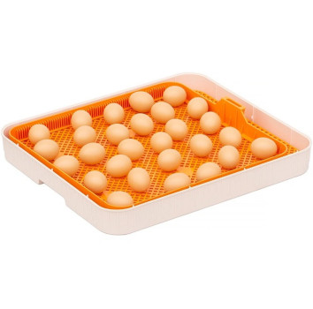 Inkubator do jaj automatyczny z pompą wilgotności, regulowaną tacą OVOstart 56