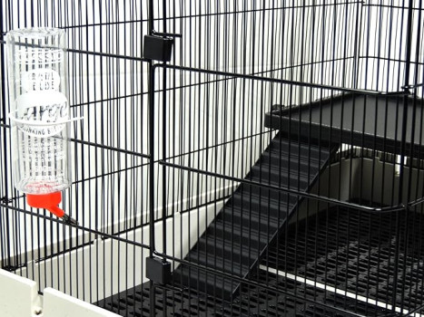 Poidełko dla gryzoni i królików Classic, 600 ml, ZESTAW 12 SZTUK