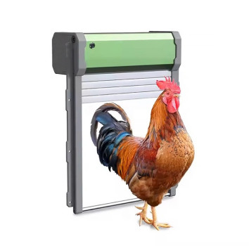 Automatyczne drzwi do kurnika Zasilane panelem solarnym Bezpieczne wyjście dla kur
