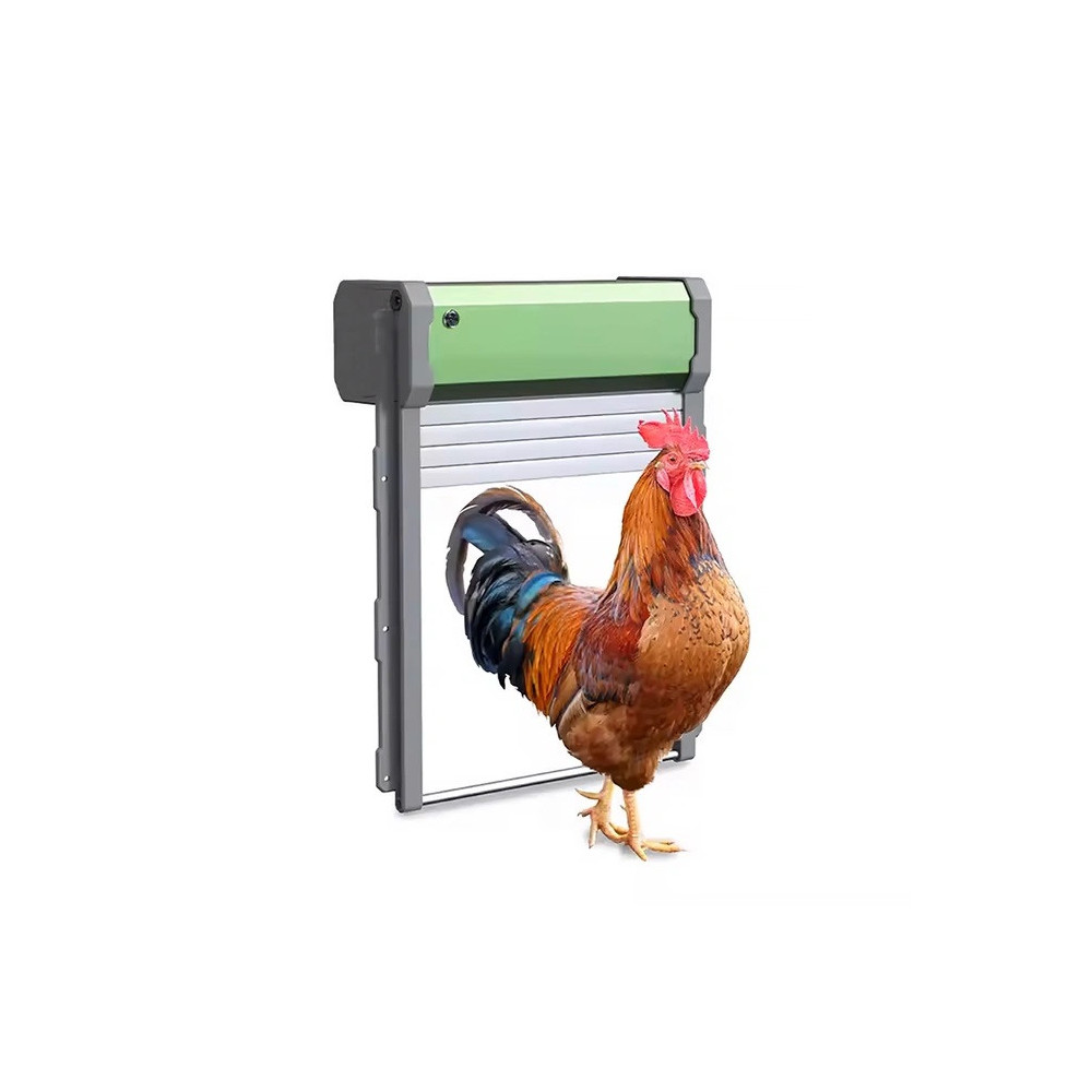 Automatyczne drzwi do kurnika Zasilane panelem solarnym Bezpieczne wyjście dla kur