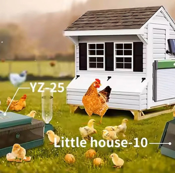 Automatyczne drzwi do kurnika Zasilane panelem solarnym Bezpieczne wyjście dla kur