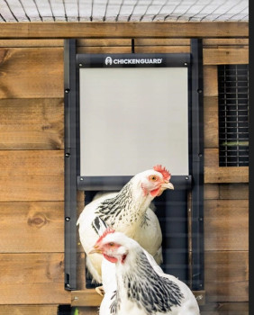 Drzwi do kurnika ChickenGuard Samoblokujące Ochrona przed lisami i kunami