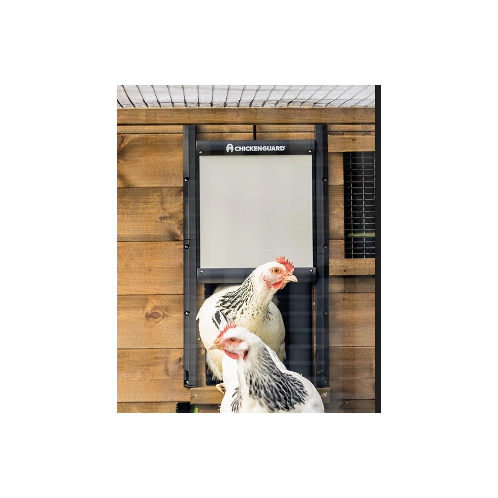 Drzwi do kurnika ChickenGuard Samoblokujące Ochrona przed lisami i kunami