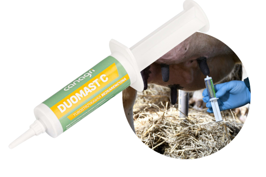 DuoMast C środek prewencyjny na mastitis, tubostrzykawka bezkarencyjna