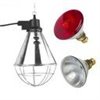 Lampa grzewcza sztuczna kwoka + promiennik ZESTAW z przełącznikiem mocy