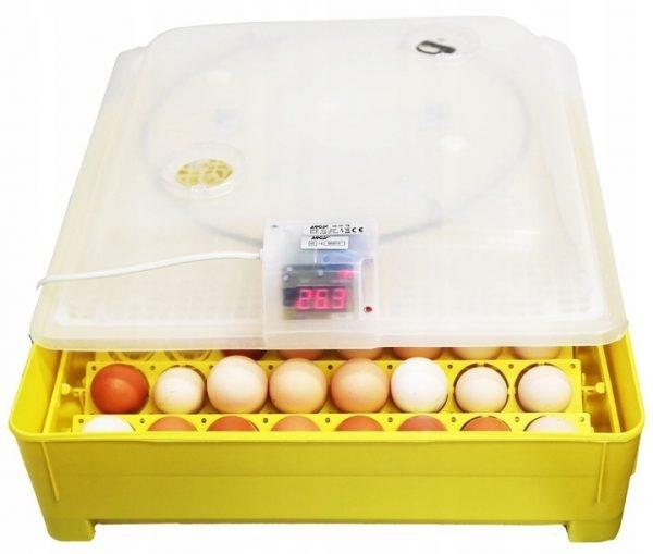 Inkubator do jaj IKAR pół-automat 56 jaj