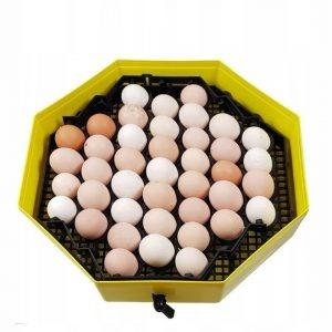 Moduł zwiększający ilość jaj w inkubatorach CLEO5
